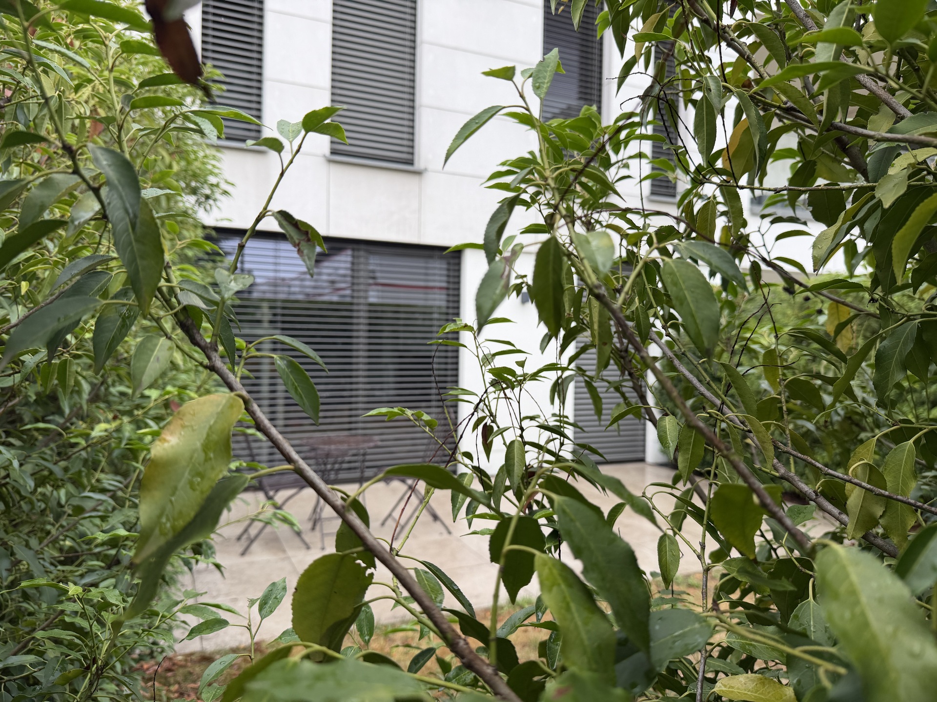 Appartement — Luxembourg-Belair · 54.7 m² - photo 17