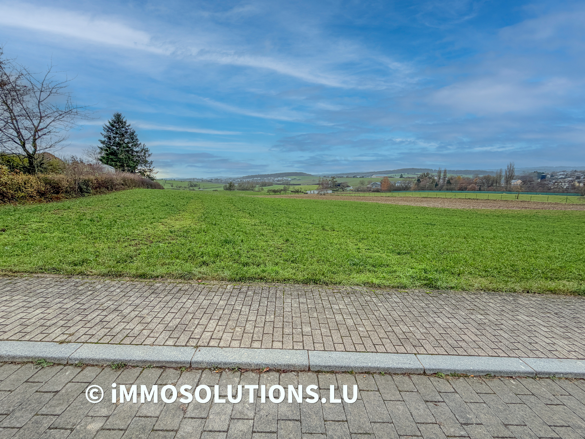 Terrain — Olingen - photo 3