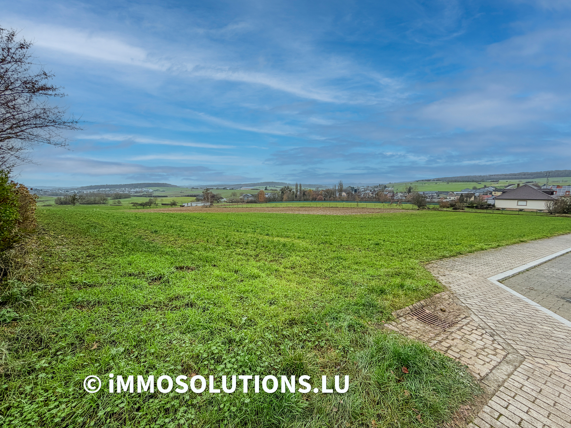 Terrain — Olingen - photo 3