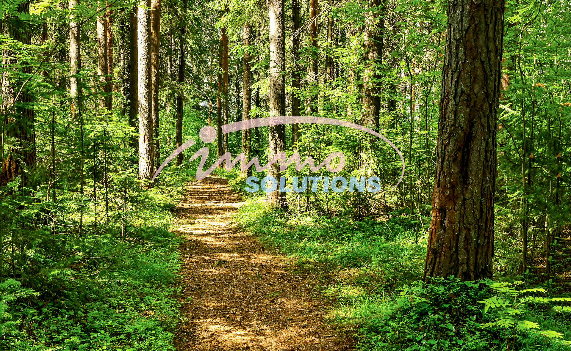 Terrain — Rambrouch · 6240 m² - photo 1