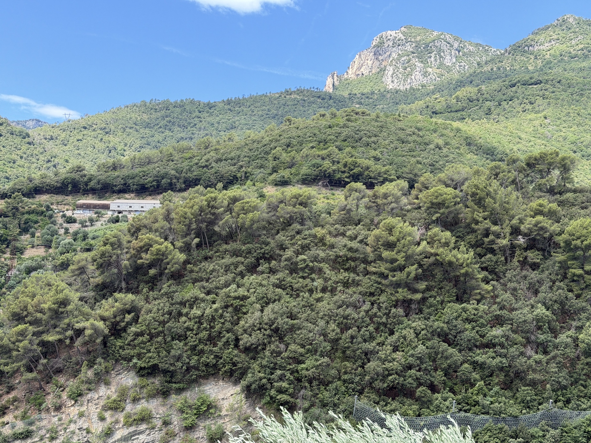 Maison — Menton · 200 m² - photo 30